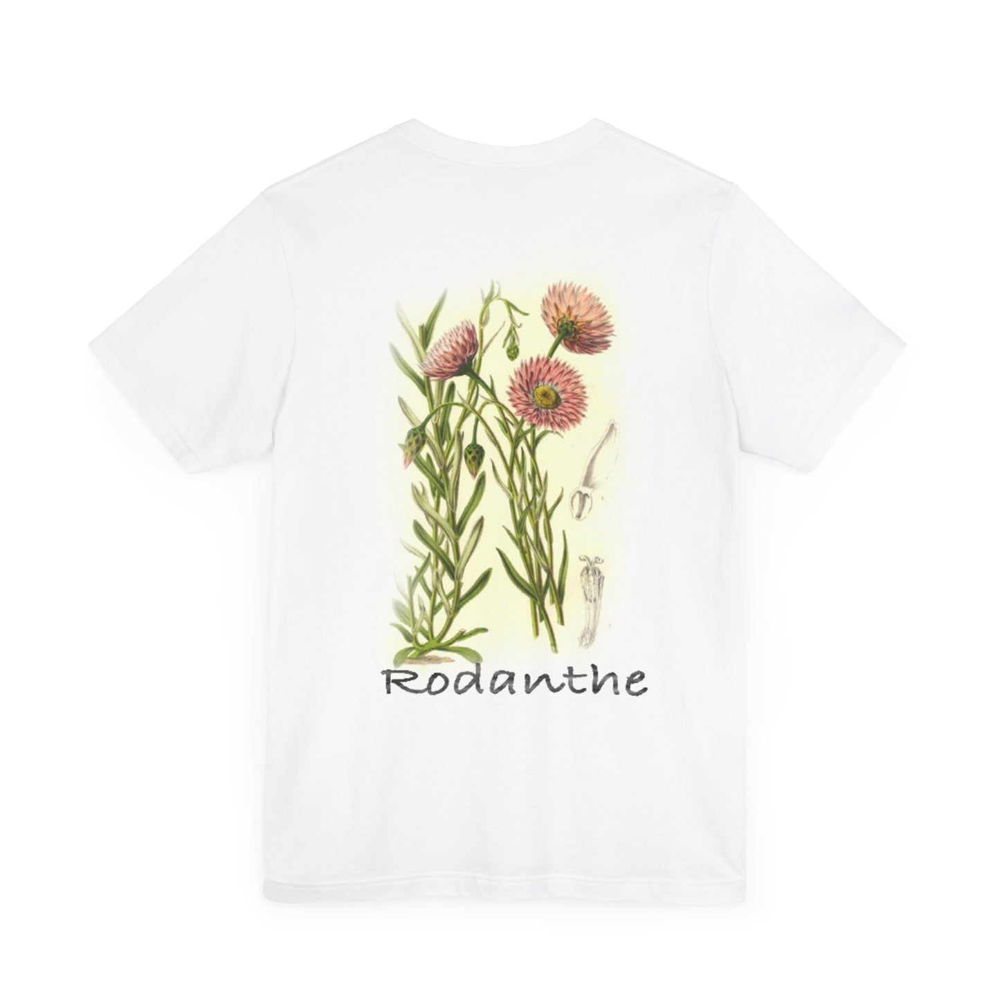 Route 12 NC Village 1 - Rodanthe Super Soft Women’s Classic Tee